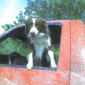 Meet your Posher, Brad